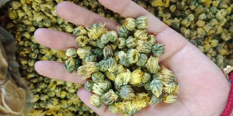 胎菊王各种规格批发胎菊米桐乡胎菊新货零售各种规格