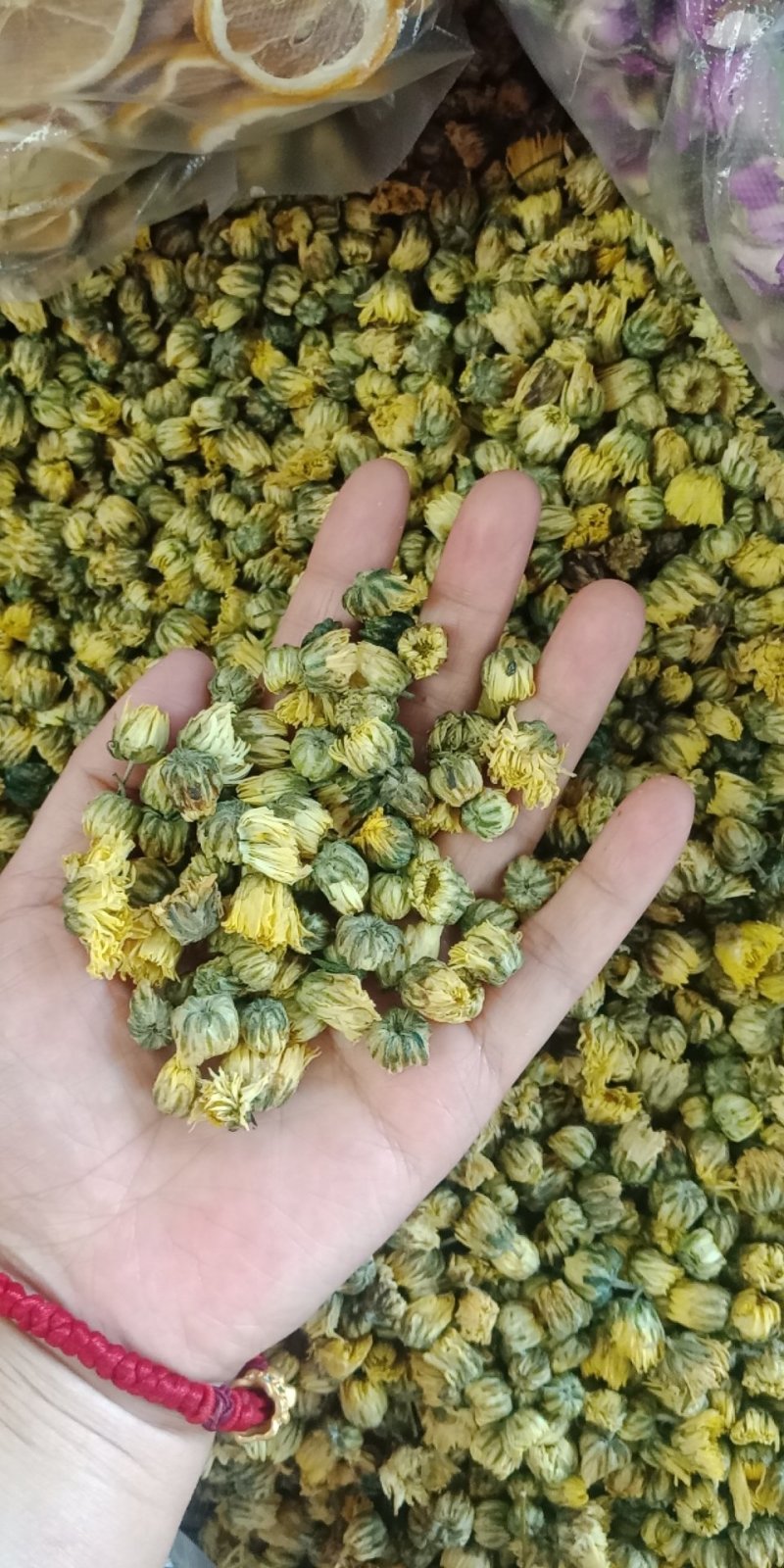 胎菊王各种规格批发胎菊米桐乡胎菊新货零售各种规格
