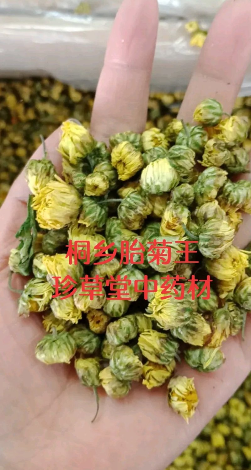 胎菊王各种规格批发胎菊米桐乡胎菊新货零售各种规格