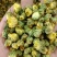 胎菊王各种规格批发胎菊米桐乡胎菊新货零售各种规格
