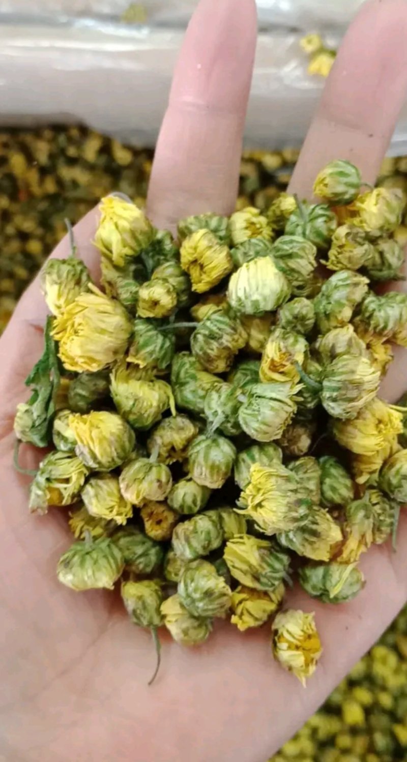 胎菊王各种规格批发胎菊米桐乡胎菊新货零售各种规格