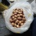 湛江菠萝蜜种子干苞