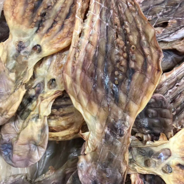 章鱼干，淡口，美味，烧烤，炖汤，