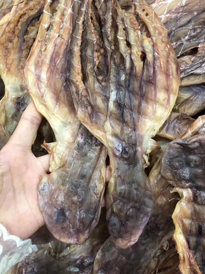 章鱼干，淡口，美味，烧烤，炖汤，