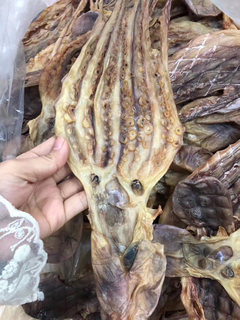 章鱼干，淡口，美味，烧烤，炖汤，