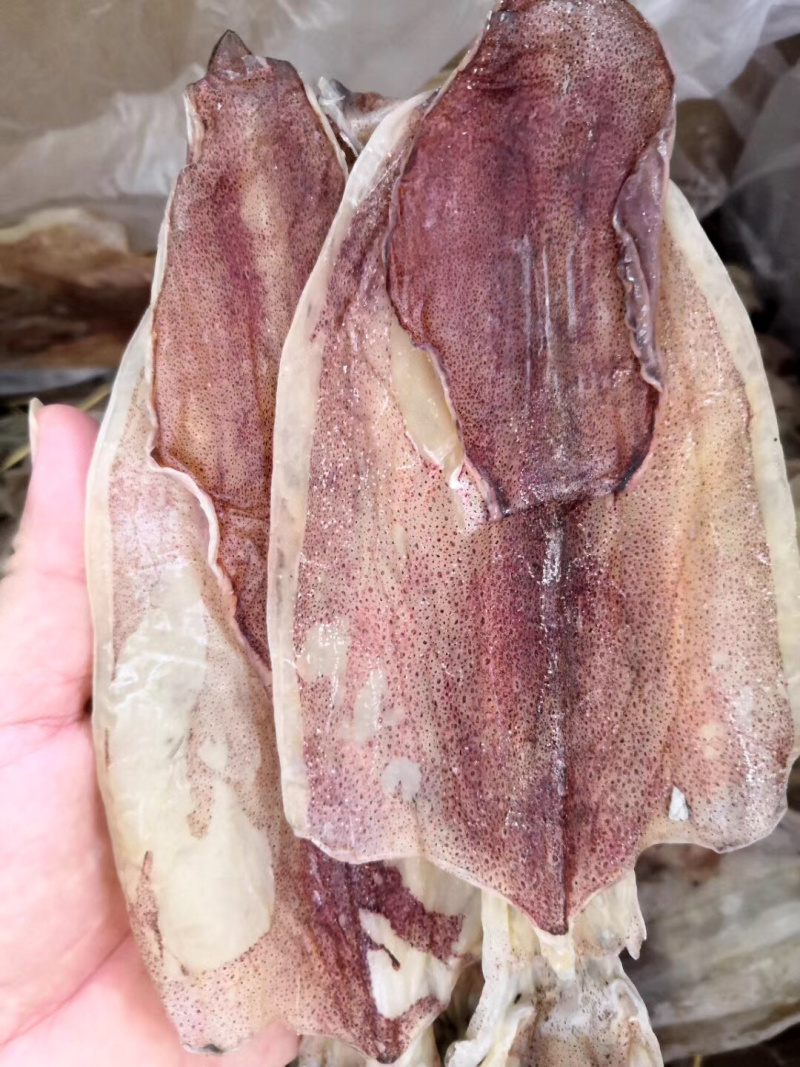 鱿鱼干，大量现货，本港货