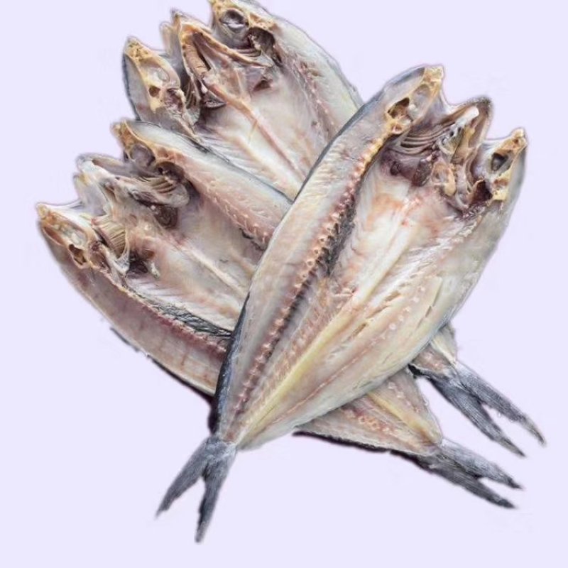 鲅鱼