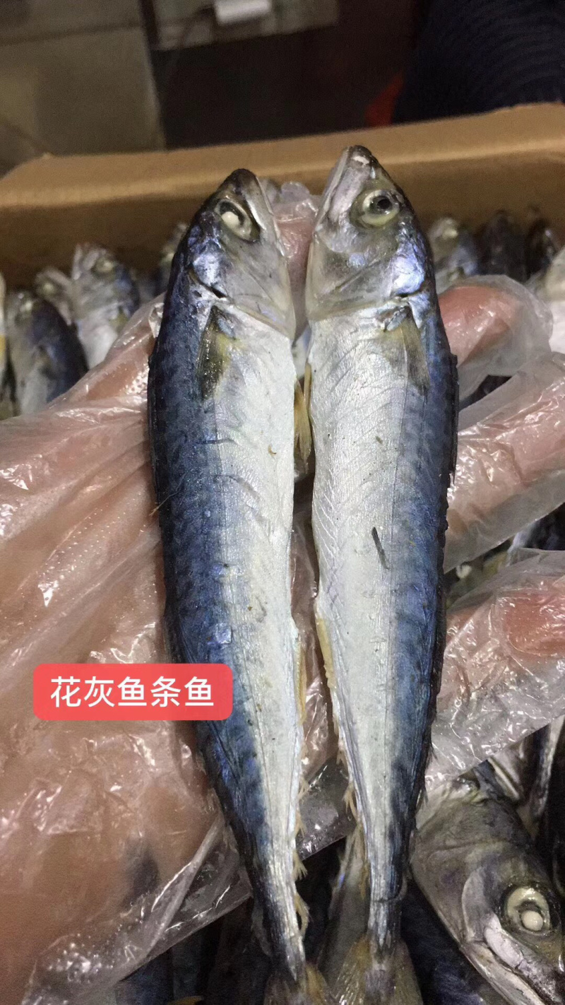 花灰鱼干，批发，量大价格从优