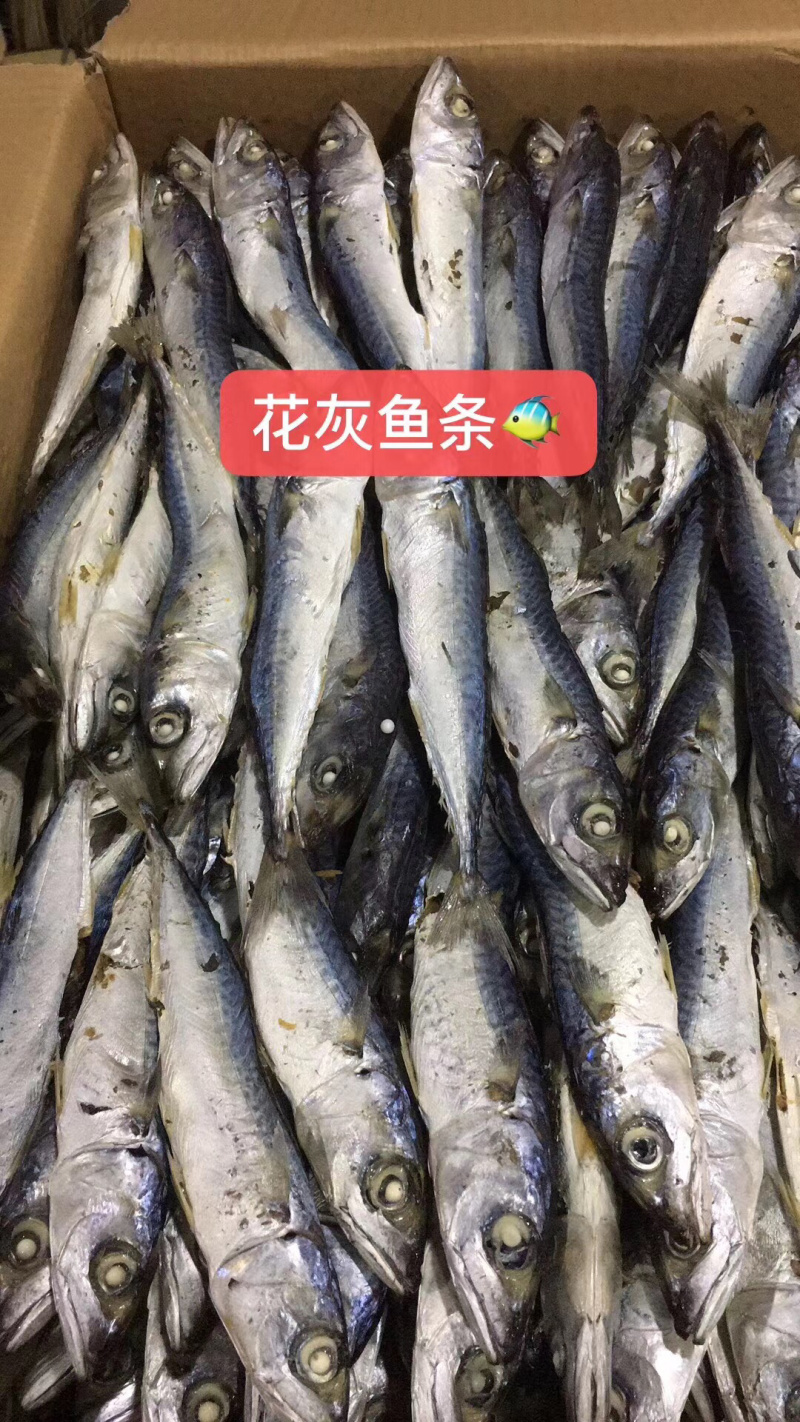 花灰鱼干，批发，量大价格从优