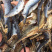 花灰鱼干，批发，量大价格从优