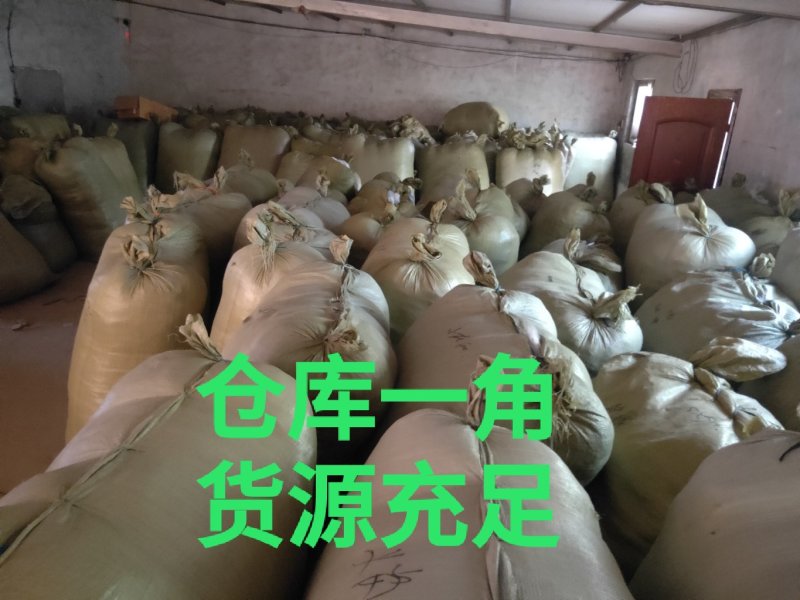 厂家生产果园防鸟网，池塘谷地防护网，规格齐全