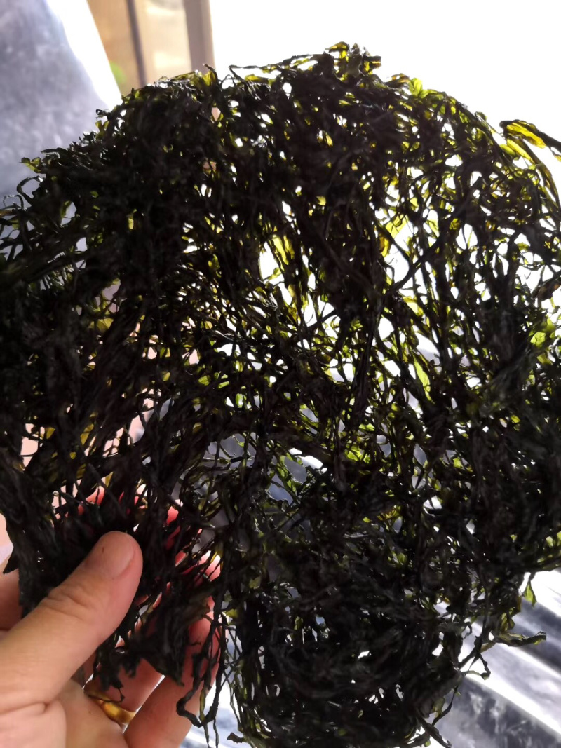 紫菜，自家头水紫菜，鲜美可口