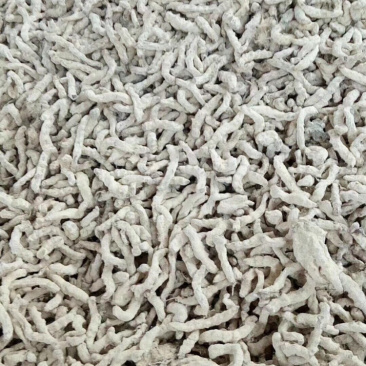 广西僵蚕僵虫质量保证