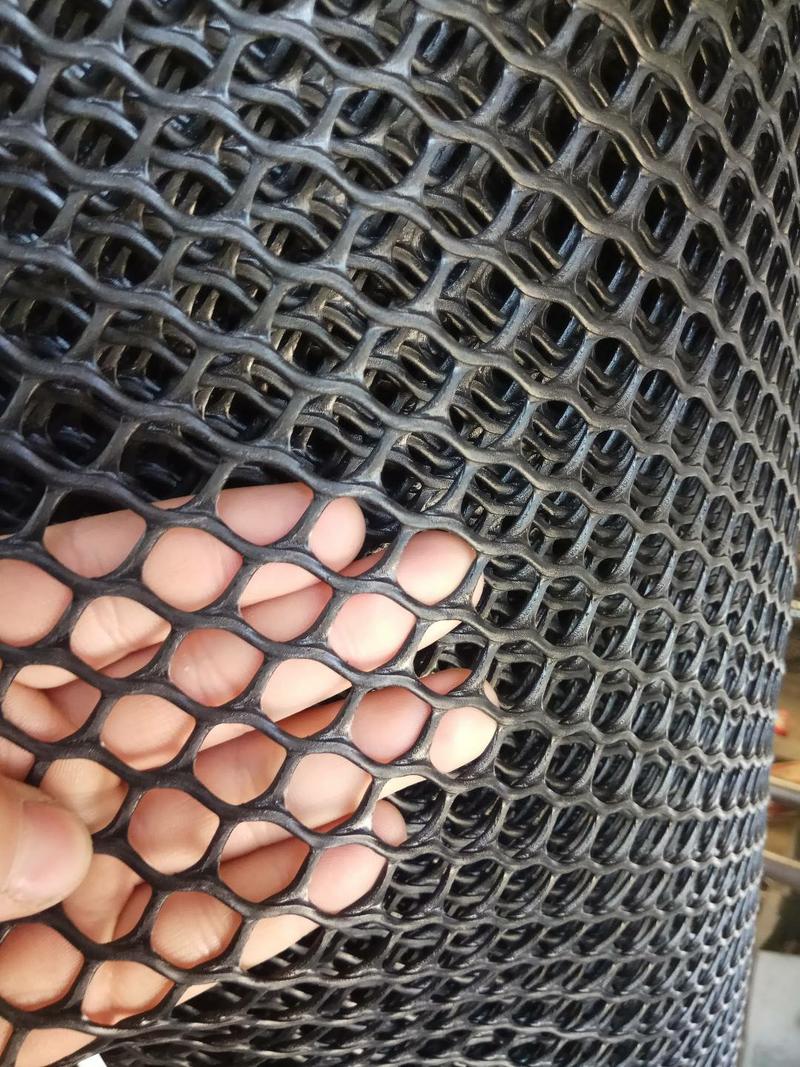 全新塑料养殖网鸡鸭鹅漏粪网塑料平网养殖网安全防护网苗床网