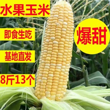 云南水果玉米新鲜水果蔬菜5斤8斤9斤10斤包邮一件代发