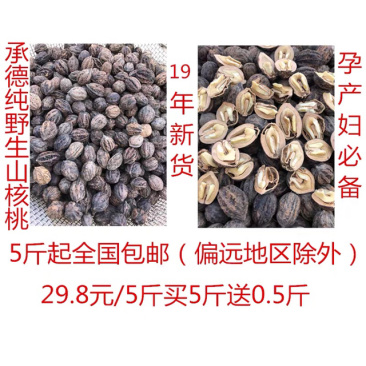 承德野生山核桃，大量上市，慢肉。