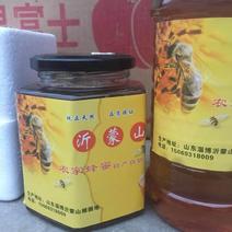 【特产】沂蒙高山土蜂蜜，放心蜂蜜，原产优质蜂群，自产自销