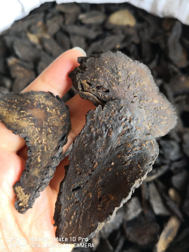 肉苁蓉自然生长内蒙干货软片各种规格2斤起包邮