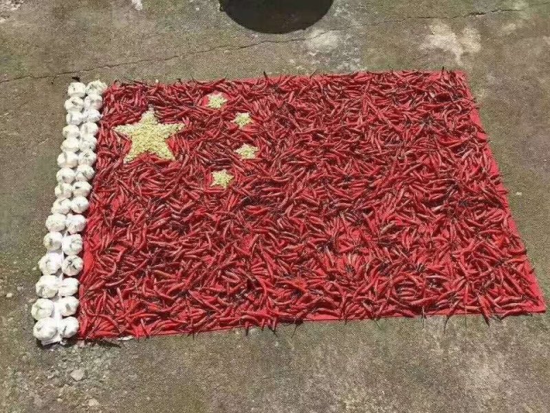 【金乡实力代办】红辣椒，干辣椒，山东辣椒，大量供货