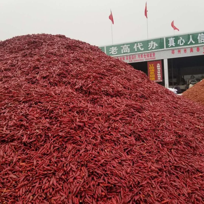 【金乡实力代办】红辣椒，干辣椒，山东辣椒，大量供货