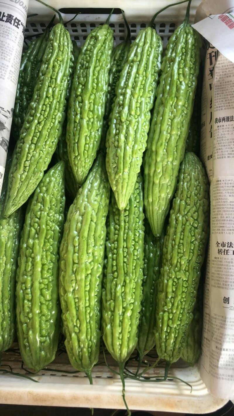 珍珠瓜