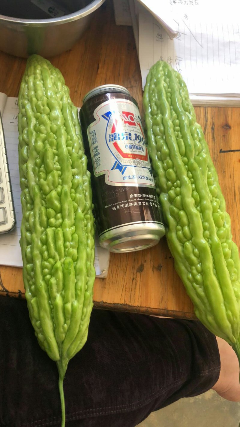 珍珠瓜