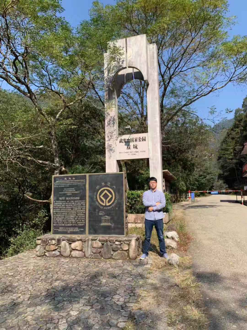 正山小种
