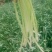 蔬菜