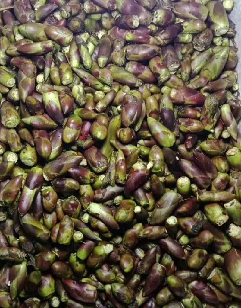 野菜