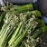 野菜