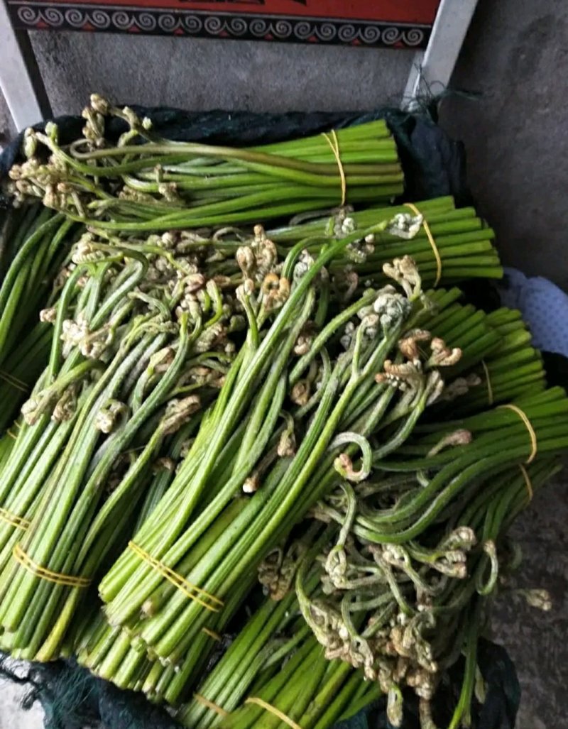 野菜