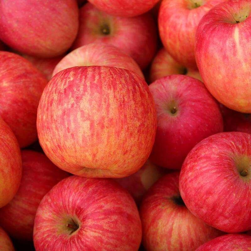 红富士水晶苹果冰糖心红富士苹果今日价格
