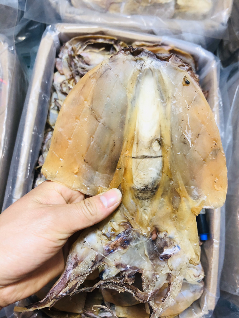 浙江东海半淡干大墨鱼-（个头大盐分轻颜色漂亮个头匀称。