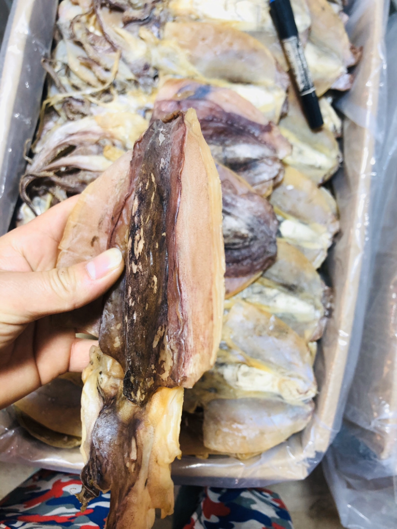 浙江东海半淡干大墨鱼-（个头大盐分轻颜色漂亮个头匀称。
