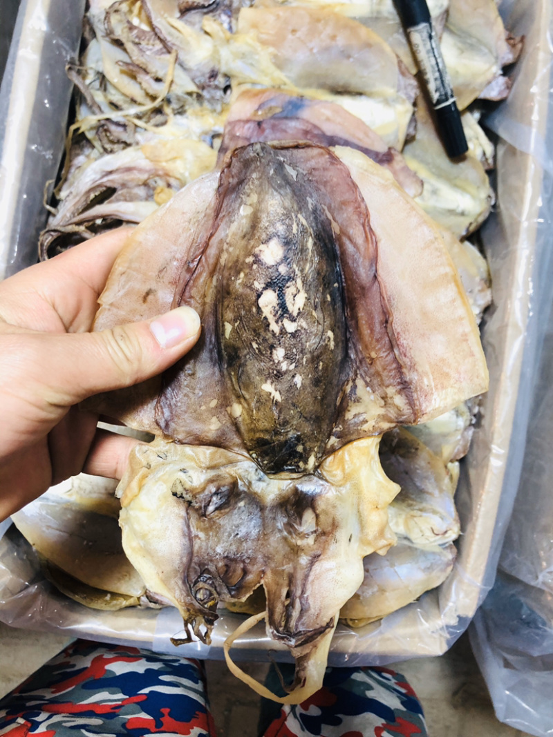 浙江东海半淡干大墨鱼-（个头大盐分轻颜色漂亮个头匀称。