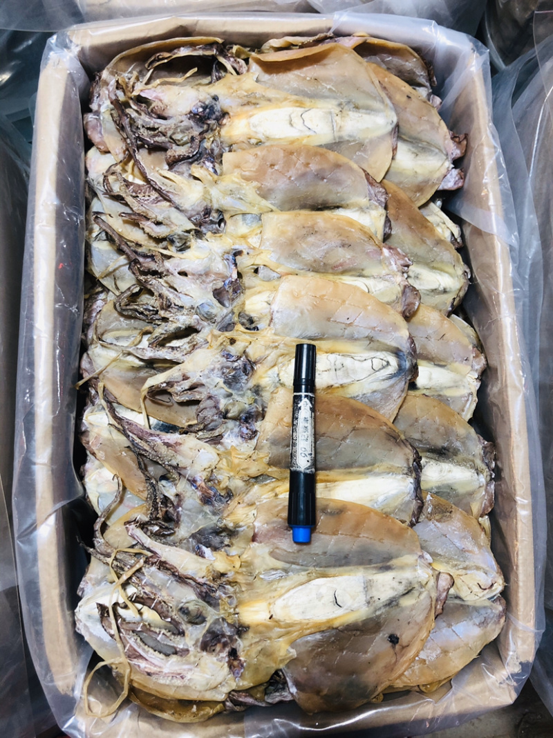 浙江东海半淡干大墨鱼-（个头大盐分轻颜色漂亮个头匀称。