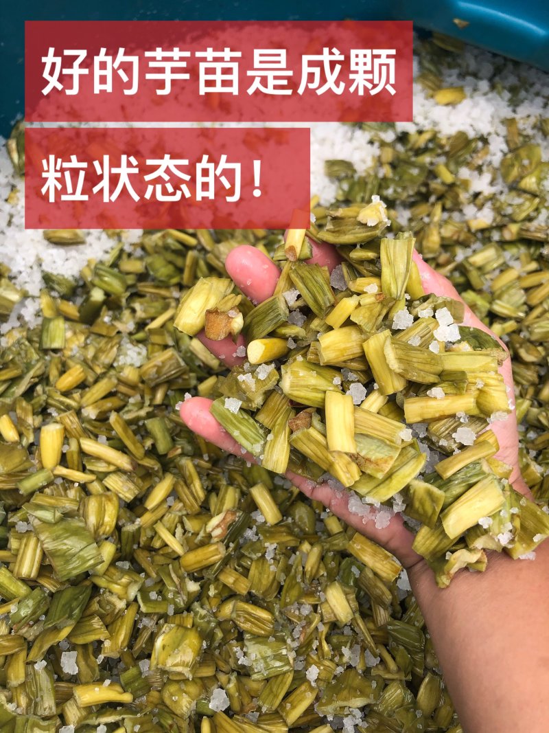 自制芋苗干，爽口开胃消食，脆口