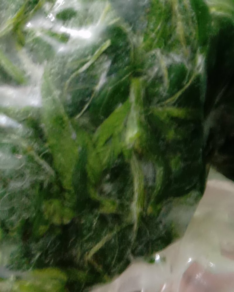 :桑芽菜
