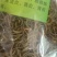 化石草，常年批发冷背中药材化石草