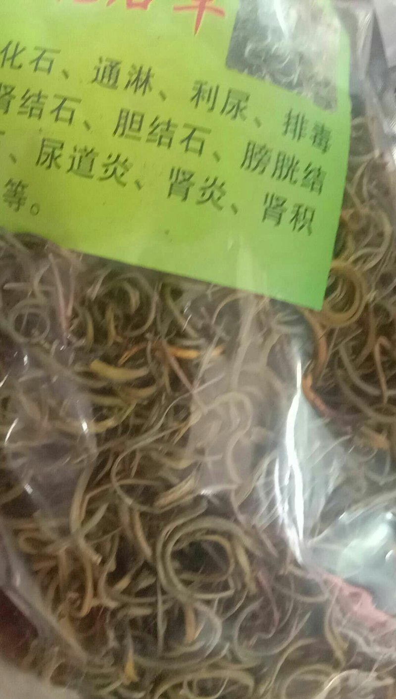 化石草，常年批发冷背中药材化石草