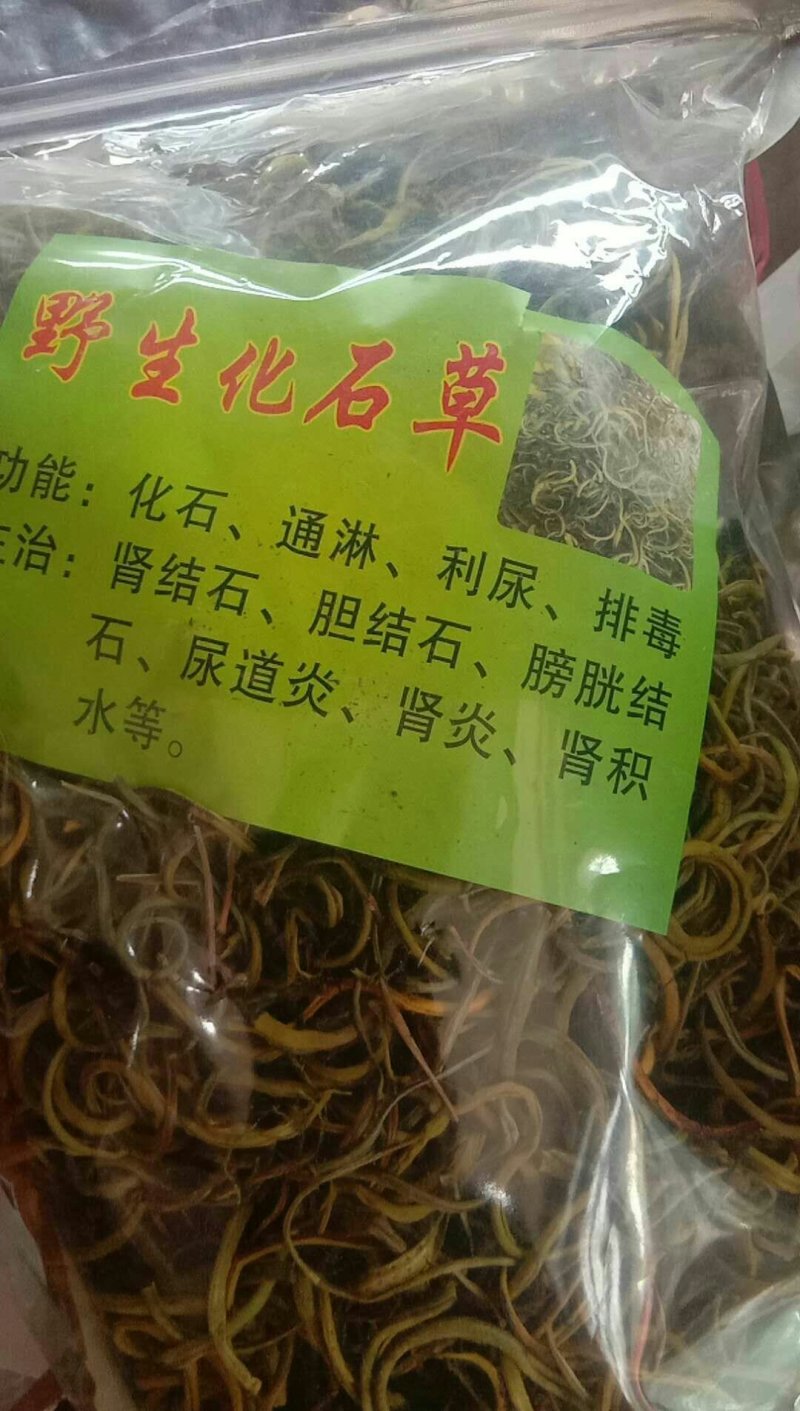 化石草，常年批发冷背中药材化石草