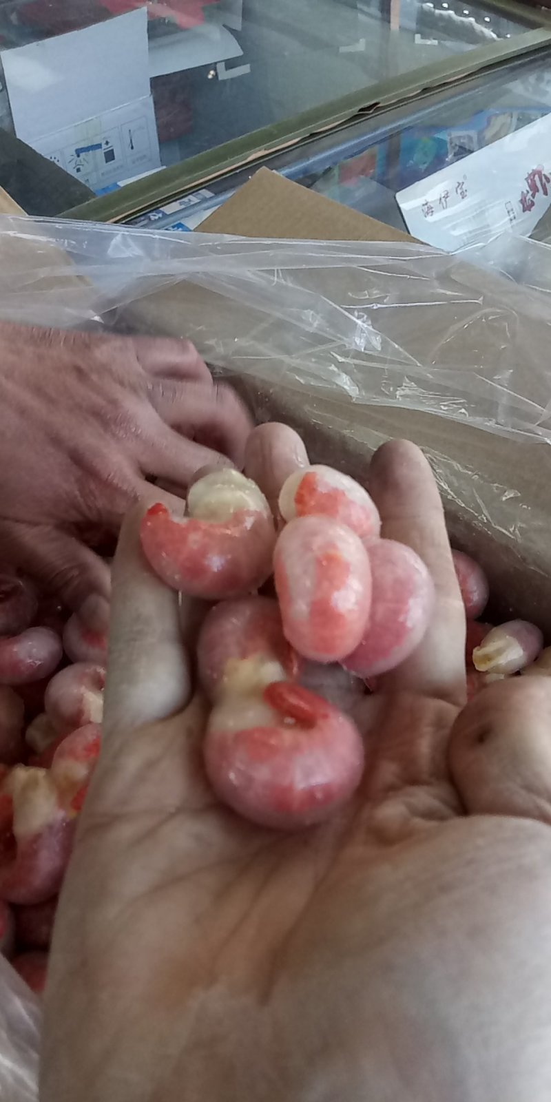 海子虾尾