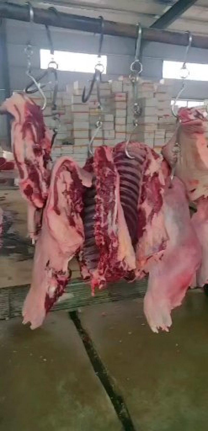 驴肉，纯驴肉，鲜驴肉，现宰驴肉，德州大黑驴
