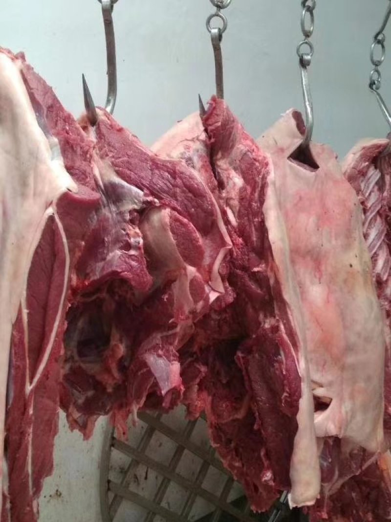 驴肉，纯驴肉，鲜驴肉，现宰驴肉，德州大黑驴