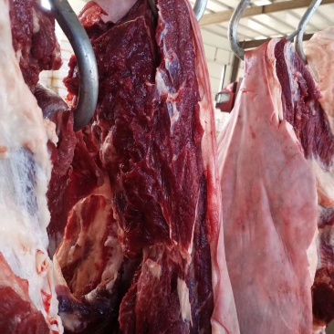 驴肉，纯驴肉，鲜驴肉，现宰驴肉，德州大黑驴