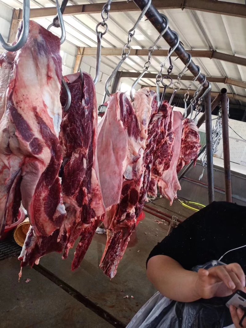 驴肉，纯驴肉，鲜驴肉，现宰驴肉，德州大黑驴