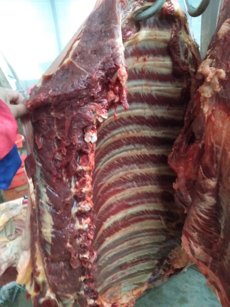 驴肉，纯驴肉，鲜驴肉，现宰驴肉，德州大黑驴