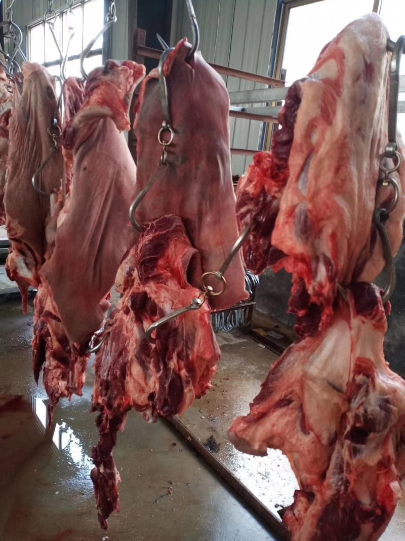 驴肉，纯驴肉，鲜驴肉，现宰驴肉，德州大黑驴