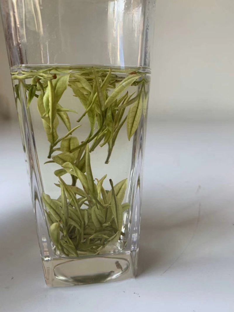 茶叶