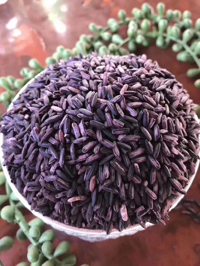 墨江紫米，粒粒饱满圆润光滑细腻，口感相当丰富